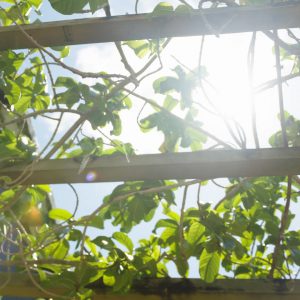 Friends of Hospice Commercial 1