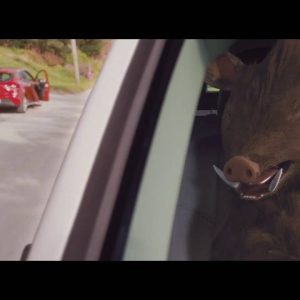 MIF - Bermuda Road Hog Commercial (BQ)